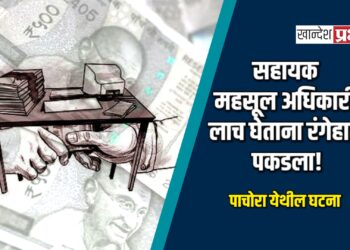 पाचोरा येथील सहायक महसूल अधिकारी लाच घेताना रंगेहात पकडला!