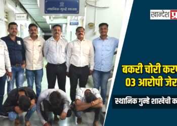 बकरी चोरी करणारे ०३ आरोपी जेरबंद ; स्थानिक गुन्हे शाखेची कारवाई