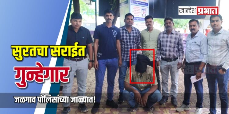 सुरतचा सराईत गुन्हेगार जळगाव पोलिसांच्या जाळ्यात!