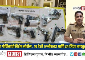जिल्हा पोलिसांची विशेष मोहीम : १० देशी अग्नीशस्त्र आणि २४ जिवंत काडतुसे जप्त