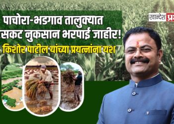 आ. किशोर पाटील यांच्या प्रयत्नांना यश; पाचोरा-भडगाव तालुक्यात सरसकट नुकसान भरपाई जाहीर!