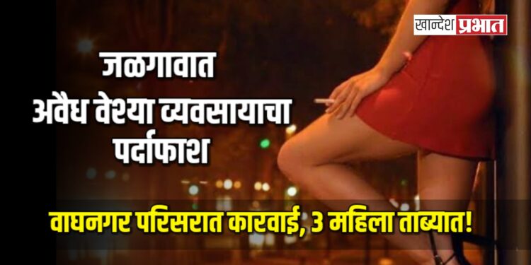 अवैध वेश्या व्यवसायाचा पर्दाफाश; ३ महिला ताब्यात!