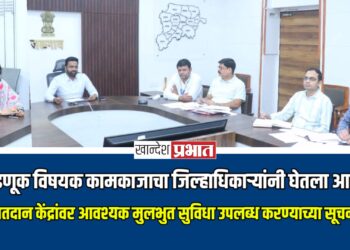 निवडणूक विषयक कामकाजाचा जिल्हाधिकाऱ्यांनी घेतला आढावा