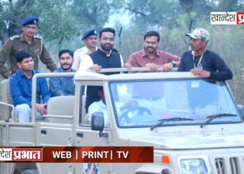 पाल पर्यटन विकासाला गती; सातपुडा जंगल सफारीचा जिल्हाधिकाऱ्यांकडून सविस्तर आढावा