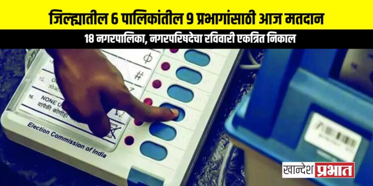 जळगाव जिल्ह्यातील स्थगिती मिळालेल्या ६ पालिकांतील ९ प्रभागांसाठी आज मतदान; रविवारी निकाल