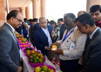 ‘नॅशनल सिट्रस सिम्पोजियम-२०२५’: रोगमुक्त रोपांची निवड हाच यशस्वी फळबागेचा मंत्र!