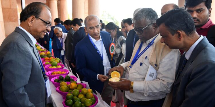 ‘नॅशनल सिट्रस सिम्पोजियम-२०२५’: रोगमुक्त रोपांची निवड हाच यशस्वी फळबागेचा मंत्र!