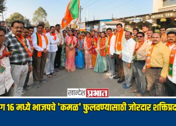 प्रभाग १६ मध्ये भाजपचे ‘कमळ’ फुलवण्यासाठी जोरदार शक्तिप्रदर्शन