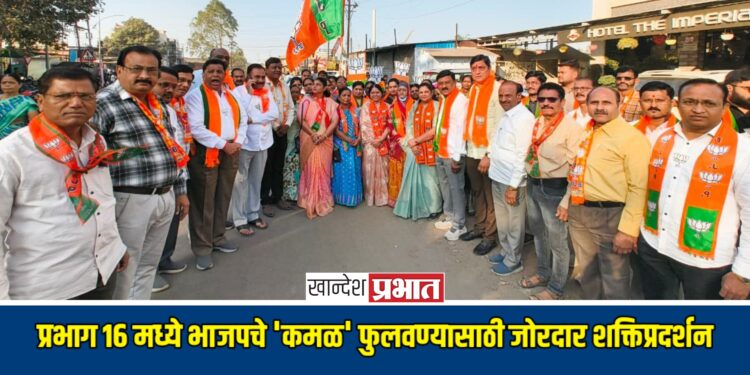 प्रभाग १६ मध्ये भाजपचे ‘कमळ’ फुलवण्यासाठी जोरदार शक्तिप्रदर्शन