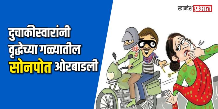 पाहुणचार घेऊन घरी परतताना घात; दुचाकीस्वारांनी वृद्धेच्या गळ्यातील सोनपोत ओरबाडली