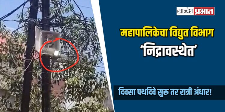 महापालिकेचा विद्युत विभाग ‘निद्रावस्थेत’; दिवसा दिवे सुरू तर रात्री अंधार!