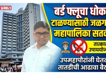 बर्ड फ्लूचा धोका टाळण्यासाठी जळगाव महापालिका सतर्क; उपमहापौरांनी घेतली तातडीची आढावा बैठक