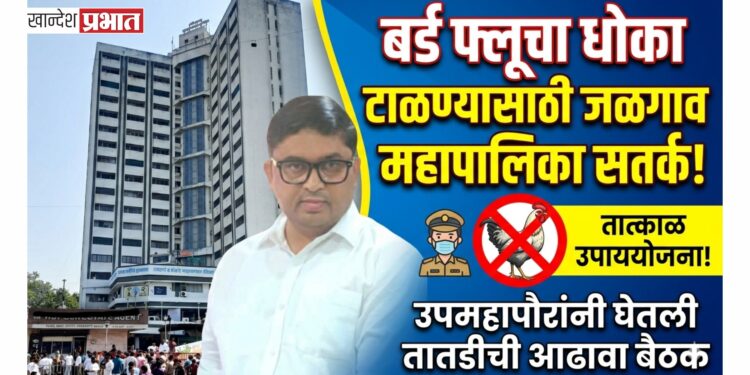 बर्ड फ्लूचा धोका टाळण्यासाठी जळगाव महापालिका सतर्क; उपमहापौरांनी घेतली तातडीची आढावा बैठक