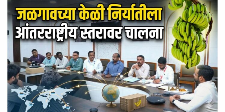 जळगावच्या केळी निर्यातीला आंतरराष्ट्रीय स्तरावर चालना