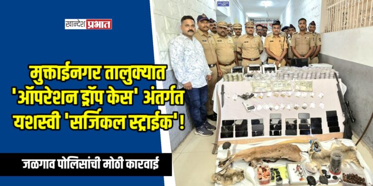 पोलिसांची मोठी कारवाई; मुक्ताईनगर तालुक्यात ‘ऑपरेशन ड्रॉप केस’ अंतर्गत यशस्वी ‘सर्जिकल स्ट्राईक’!