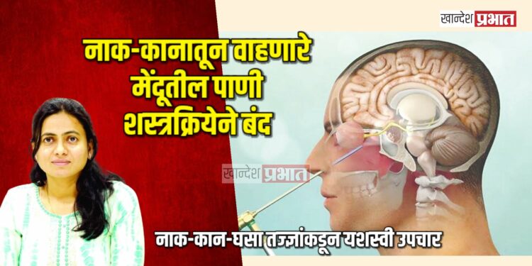 तरूणीच्या नाक-कानातून वाहणारे मेंदूतील पाणी शस्त्रक्रियेने बंद
