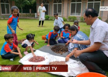 अनुभूती ट्री फेस्टिवल मध्ये सीड बॉल तयार करून दिला पर्यावरणाचा संदेश