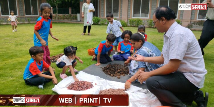 अनुभूती ट्री फेस्टिवल मध्ये सीड बॉल तयार करून दिला पर्यावरणाचा संदेश