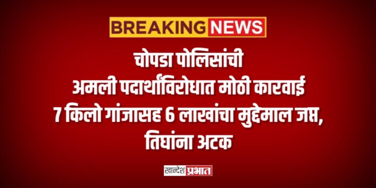 चोपडा पोलिसांची अमली पदार्थांविरोधात मोठी कारवाई; ७ किलो गांजासह ६ लाखांचा मुद्देमाल जप्त, तिघांना अटक