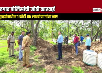 जळगाव पोलिसांची मोठी कारवाई: ८ गुन्ह्यांमधील १ कोटी ८६ लाखांचा गांजा नष्ट!
