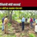 जळगाव पोलिसांची मोठी कारवाई: ८ गुन्ह्यांमधील १ कोटी ८६ लाखांचा गांजा नष्ट!
