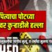 पित्याचा पोटच्या मुलांवर कुऱ्हाडीने हल्ला; १३ वर्षीय चिमुकलीचा जागीच मृत्यू, ११ वर्षांचा मुलगा गंभीर
