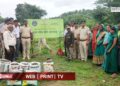 राखीव वनक्षेत्रात ५०० रोपांची लागवड; ३ हजार सीड्स बॉलची पेरणी