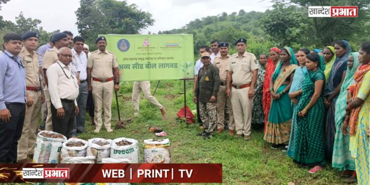 राखीव वनक्षेत्रात ५०० रोपांची लागवड; ३ हजार सीड्स बॉलची पेरणी