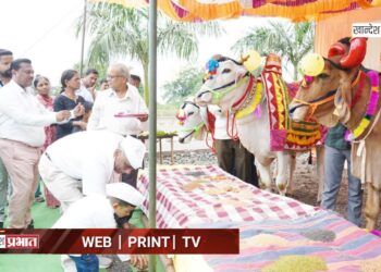 डॉ. उल्हास पाटील कृषि परिसरात सर्जा-राजाप्रती कृतज्ञता
