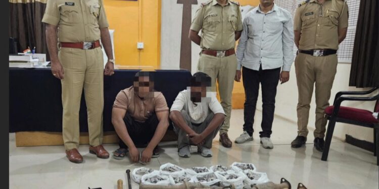 ईको सायलेंसर चोरीचा पारोळ्यात पर्दाफाश; उत्तर प्रदेशातील दोन सराईत संशयित जेरबंद