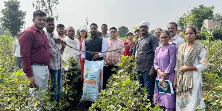 दुष्काळसदृश्य परिस्थितीत पिकांची जिल्हाधिकाऱ्यांकडून पाहणी