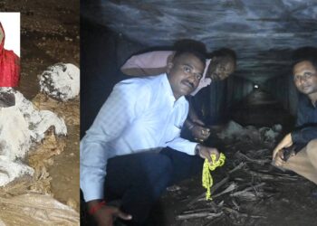 ‘मुलगा मानलेल्या’ भाच्याचाच घातक कट; ८५ वर्षीय वृद्धेचा खून करून मृतदेह लपवला