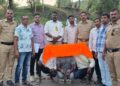 तीन गावठी कट्टे, आठ जिवंत काडतुसे जप्त; तिघांना अटक