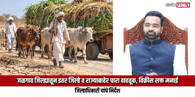 जळगाव जिल्ह्यातून इतर जिल्हे व राज्याबाहेर चारा वाहतूक, विक्रीस सक्त मनाई