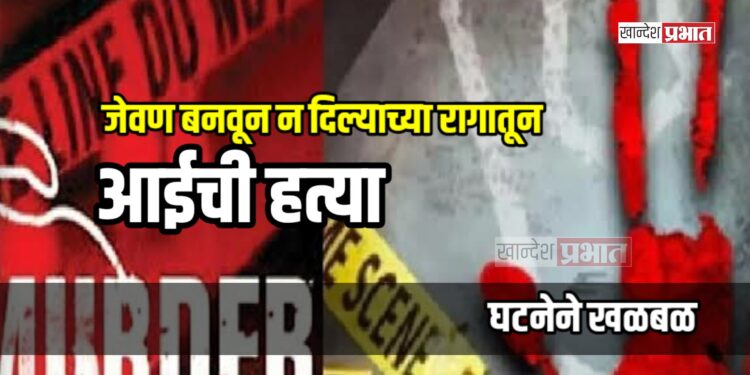 जेवण बनवून न दिल्याच्या रागातून आईची हत्या ; घटनेने खळबळ