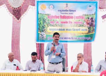 उपलब्ध चाऱ्याचे जतन, संवर्धन, पोषणमूल्यवर्धन व कार्यक्षम वापर गरजेचा : डॉ. प्रदीप झोड